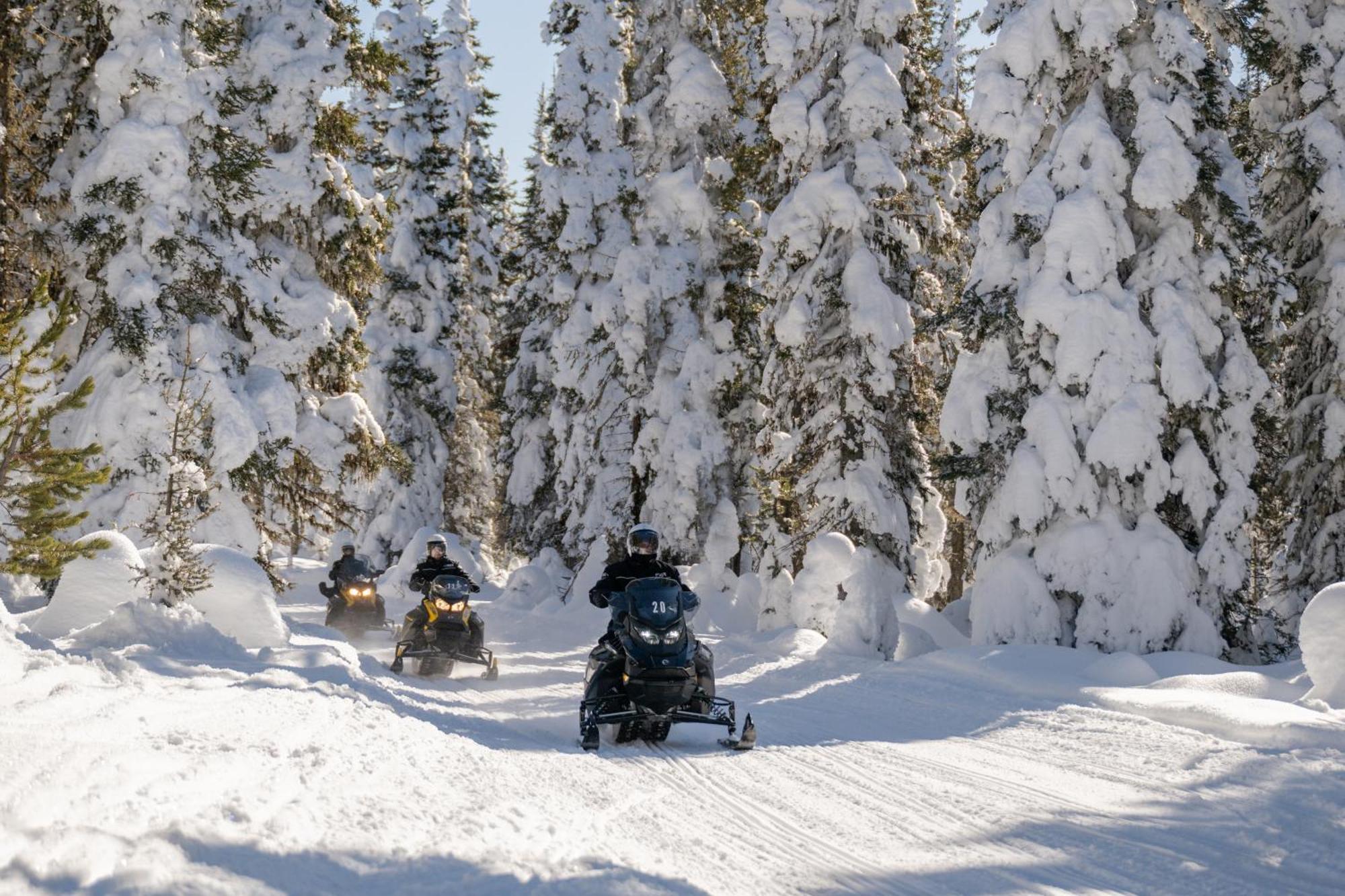 Explorer Cabins At Yellowstone West Yellowstone Bagian luar foto